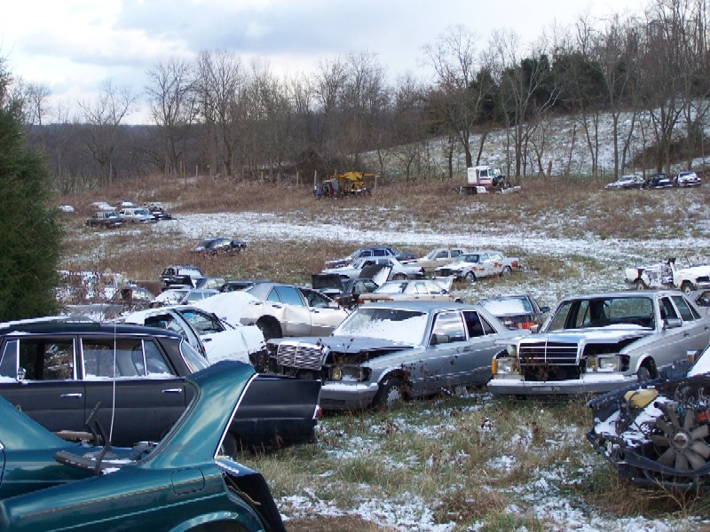 Illustration for article titled Over 1,000 Vintage Mercedes-Benzes Await The Cruel Jaws Of The Crusher In Kentucky